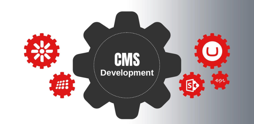 custom-wordpress-development-services 
