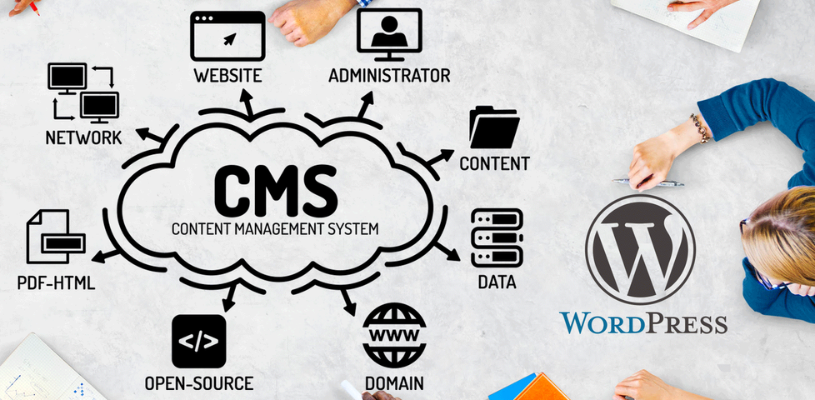 cms-development-services