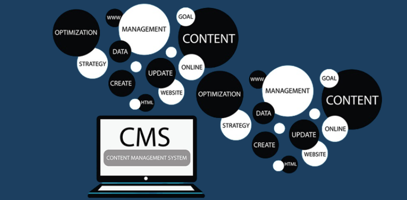 cms-development-services